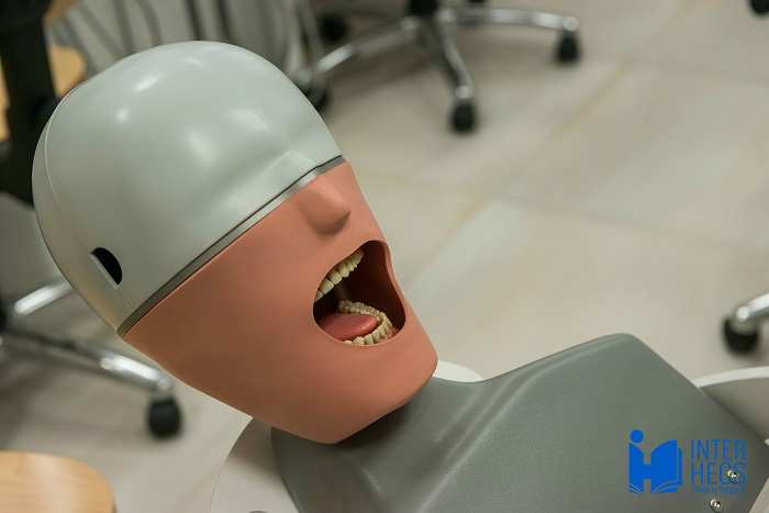 Dental Medicine in Bulgaria